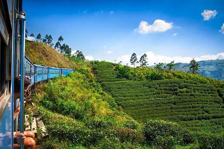 Nuwara Eliya 3 Days Tour